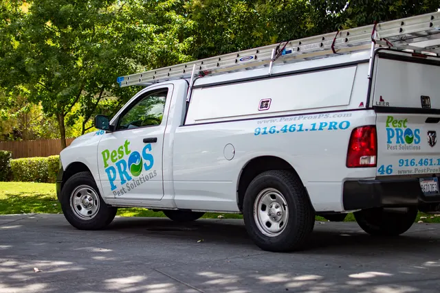 PEST PROS PEST SOLUTIONS — photo from the business 3