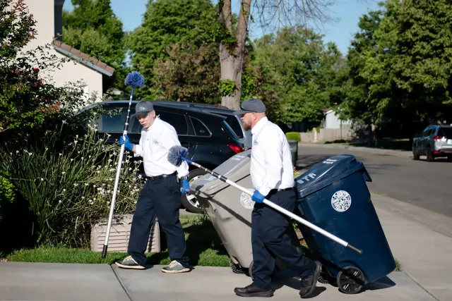 PEST PROS PEST SOLUTIONS — photo from the business 11