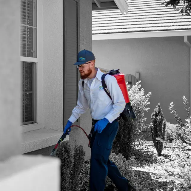 PEST PROS PEST SOLUTIONS — photo from the business 10