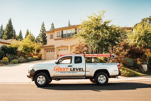 Next Level Pest Control — photo from the business 1
