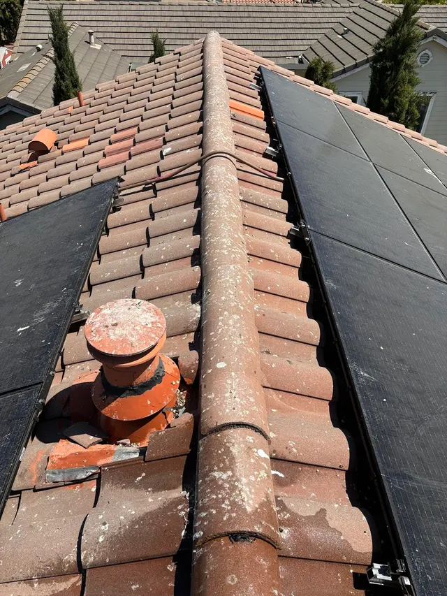 Next Level Pest Control — photo from the business 10