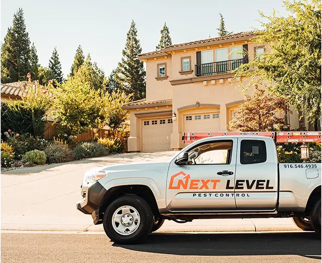 Next Level Pest Control — photo from the business 3