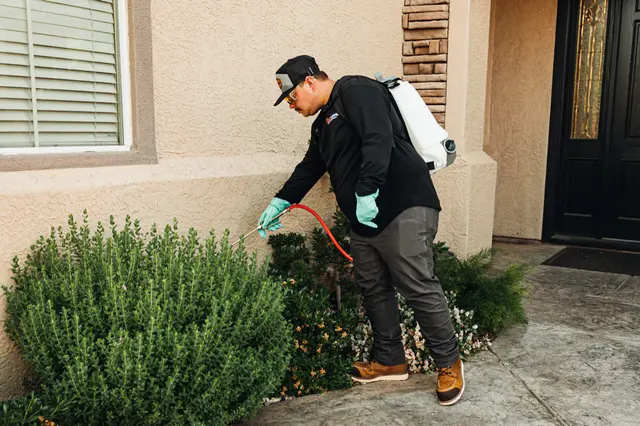 Next Level Pest Control — photo from the business 6