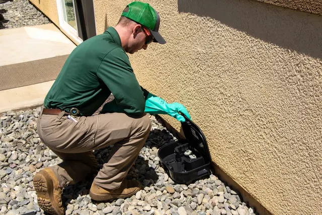 Pointer Pest Control - Roseville — photo from the business 3
