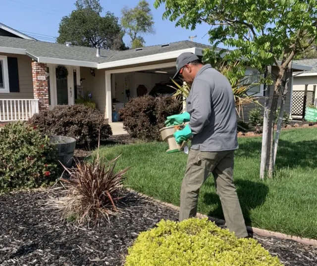 Pointer Pest Control - Roseville — photo from the business 6