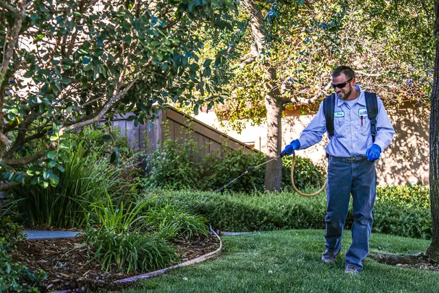 EcoGuard Pest Management — photo from the business 1
