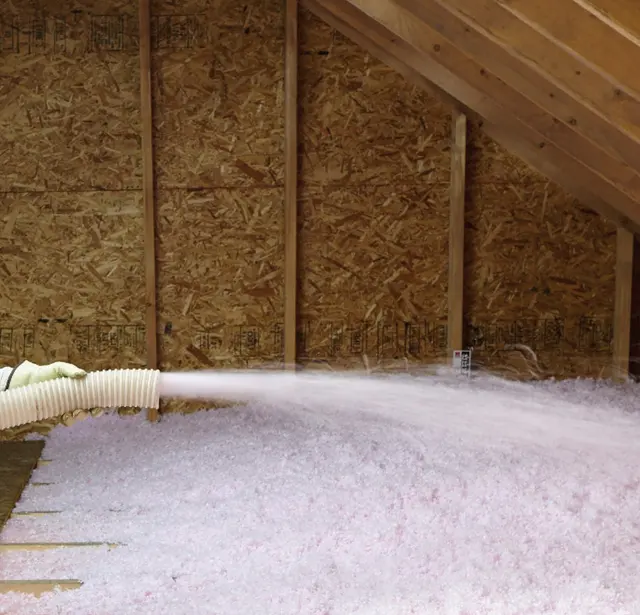 EcoGuard Pest Management — photo from the business 6