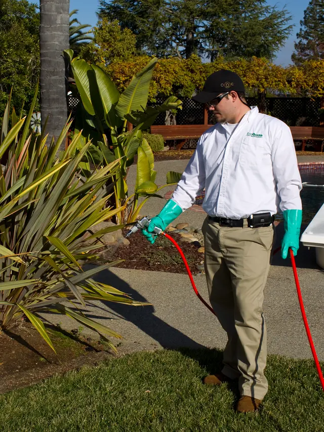 EcoGuard Pest Management — photo from the business 11