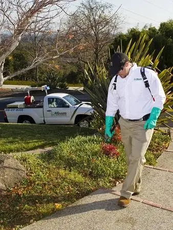 EcoGuard Pest Management — photo from the business 10