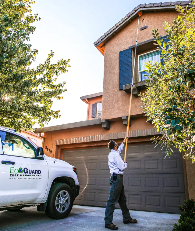 EcoGuard Pest Management — photo from the business 2