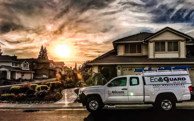 EcoGuard Pest Management — photo from the business 12