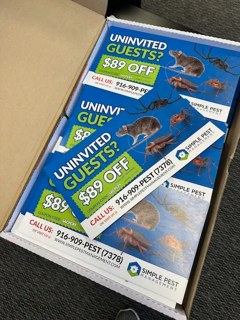 Simple Pest Management — photo from the business 9