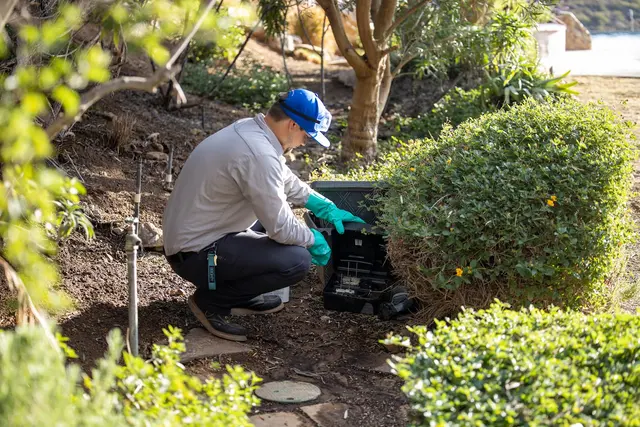 Simple Pest Management — photo from the business 10