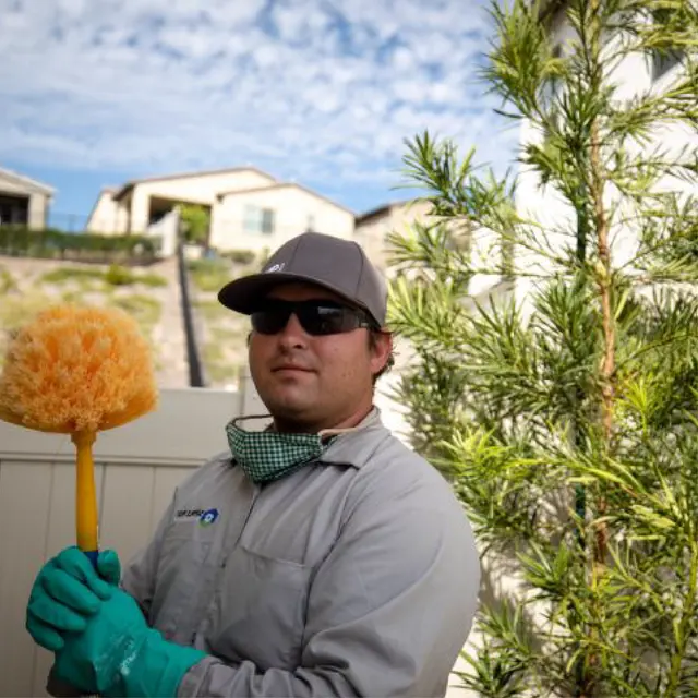 Simple Pest Management — photo from the business 12