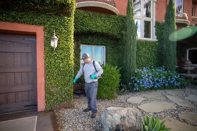 Simple Pest Management — photo from the business 2