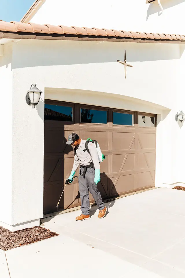 Pro Active Pest Control — photo from the business 4