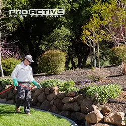 Pro Active Pest Control — photo from the business 11