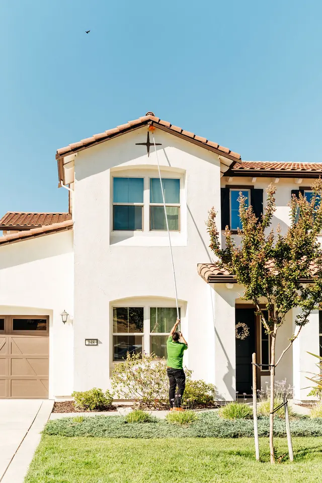 Pro Active Pest Control — photo from the business 3