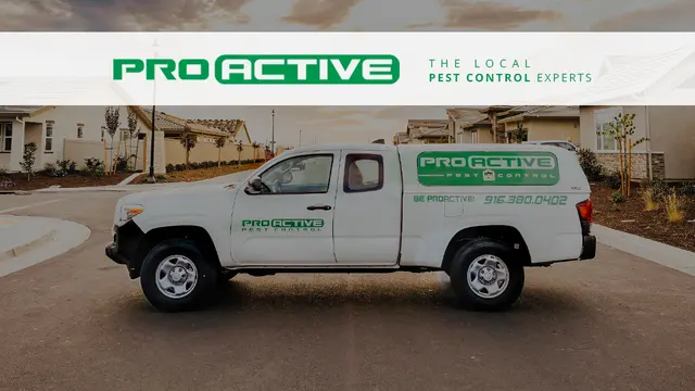 Pro Active Pest Control — photo from the business 1