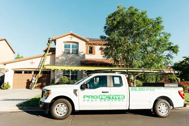 Pro Active Pest Control — photo from the business 2