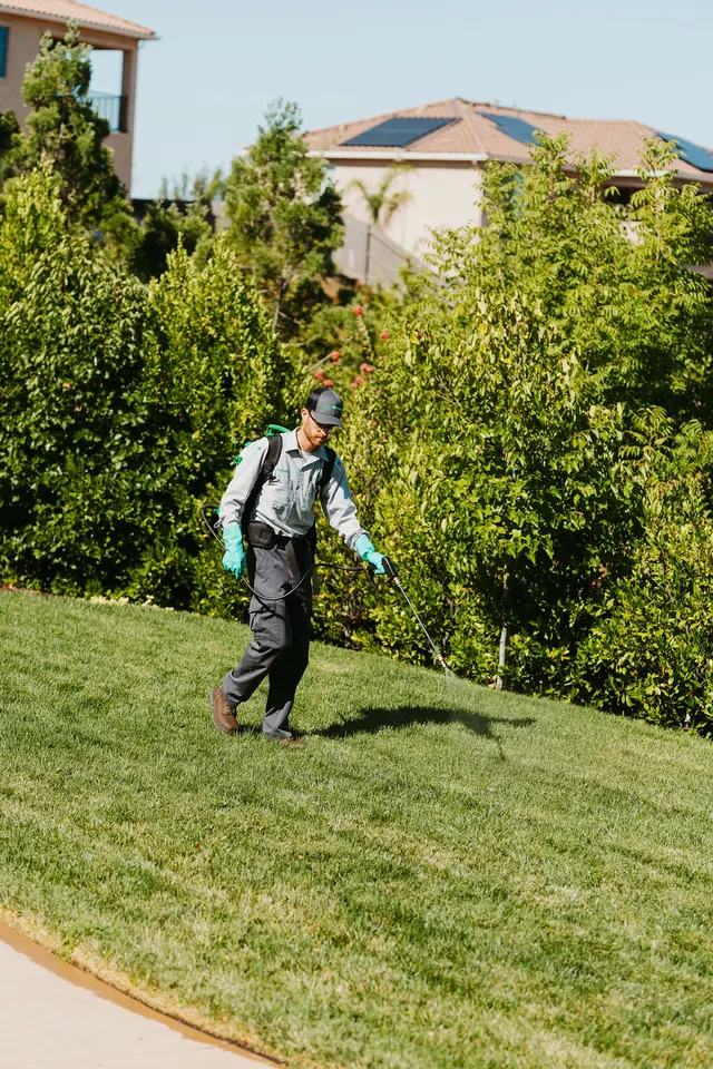 Pro Active Pest Control — photo from the business 5