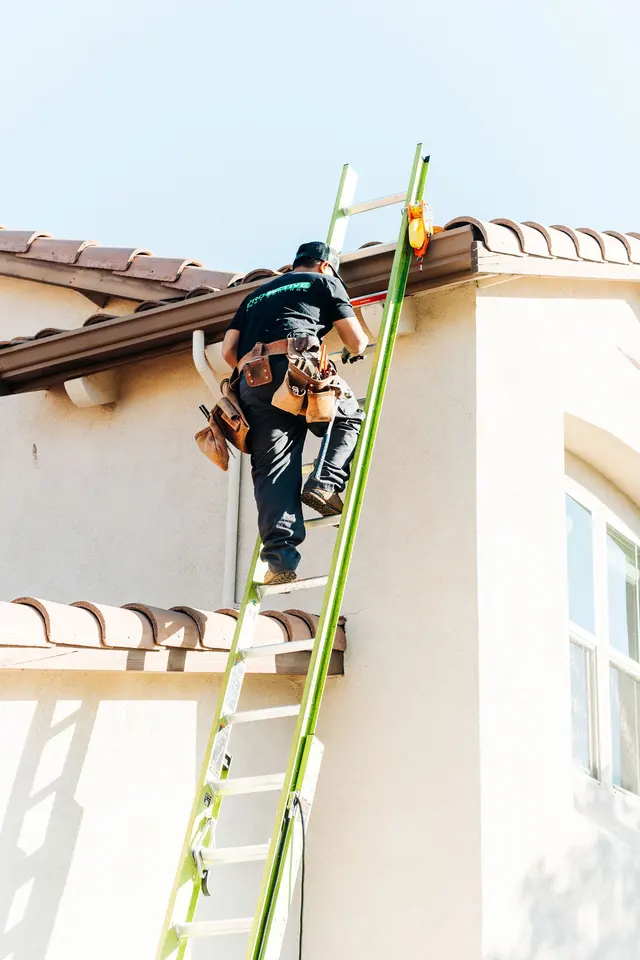 Pro Active Pest Control — photo from the business 7