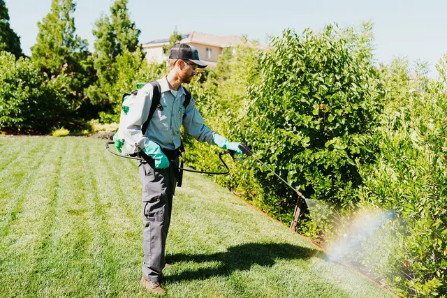 Pro Active Pest Control — photo from the business 8