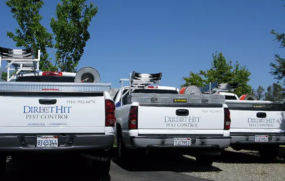 Direct Hit Pest Control — photo from the business 1