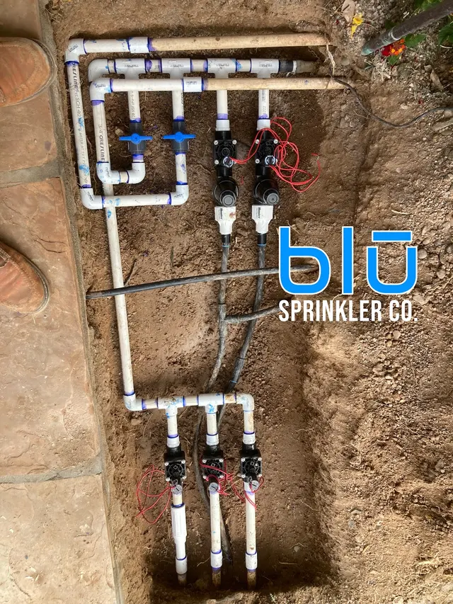 Blu Sprinkler — photo from the business 10