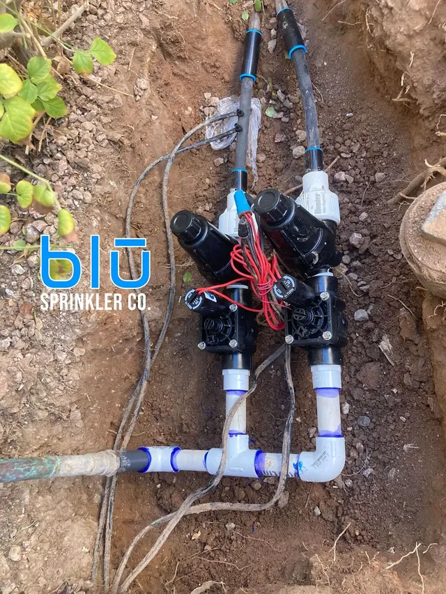 Blu Sprinkler — photo from the business 11