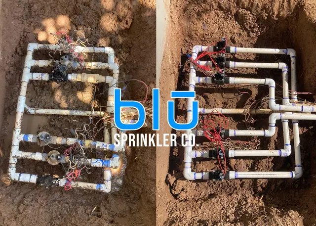 Blu Sprinkler — photo from the business 9