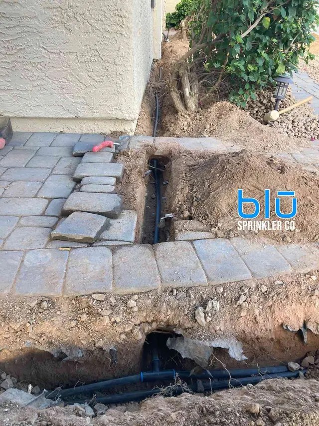 Blu Sprinkler — photo from the business 12