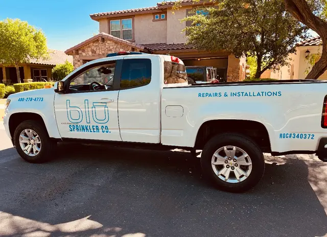 Blu Sprinkler — photo from the business 4