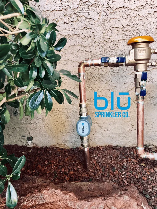Blu Sprinkler — photo from the business 5