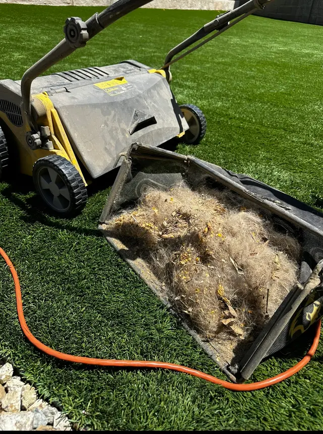 Dino Turf Co. — photo from the business 5