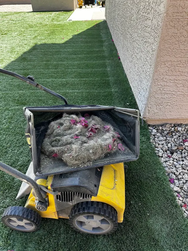 Dino Turf Co. — photo from the business 6