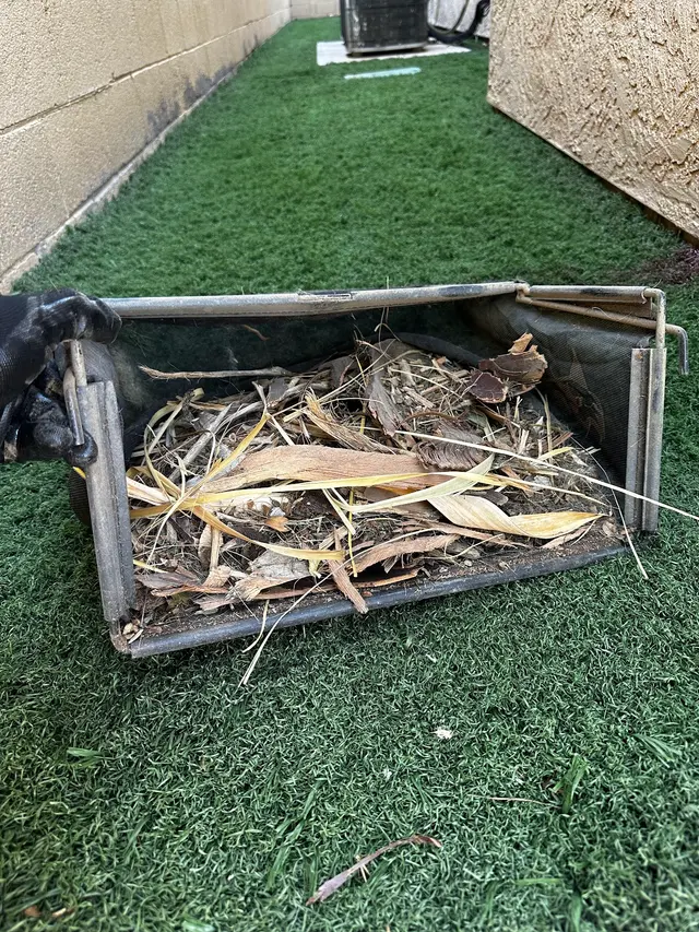 Dino Turf Co. — photo from the business 11