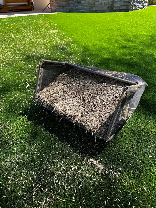 Dino Turf Co. — photo from the business 10