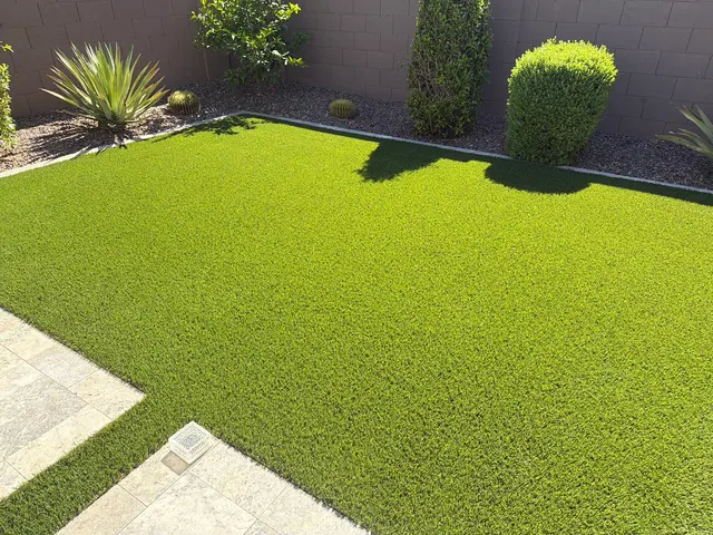Dino Turf Co. — customer photo 2