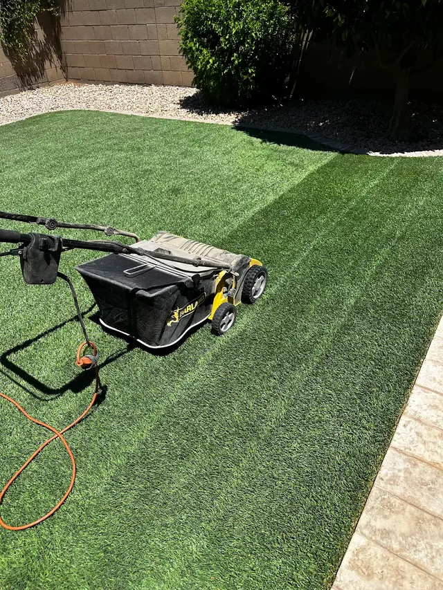 Dino Turf Co. — photo from the business 9