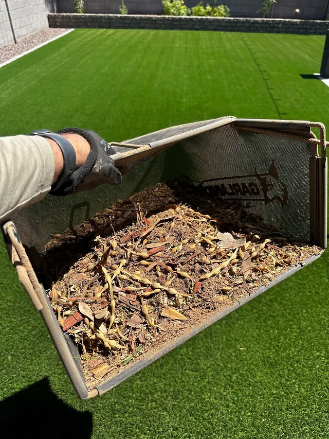 Dino Turf Co. — photo from the business 12