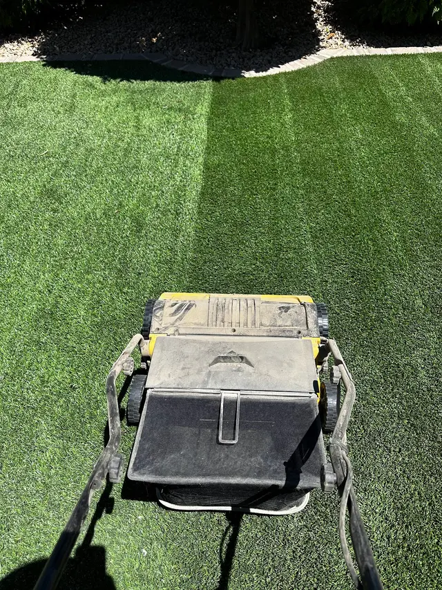 Dino Turf Co. — photo from the business 7