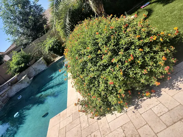 BV Lawn Care — photo from the business 9