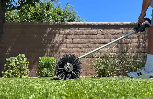 Turfs Up Dude — photo from the business 4