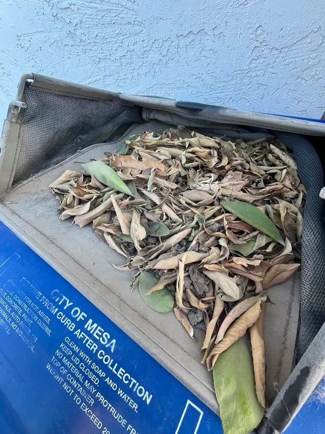 Customer photo of work by Turfs Up Dude, from Dan Fowler's review