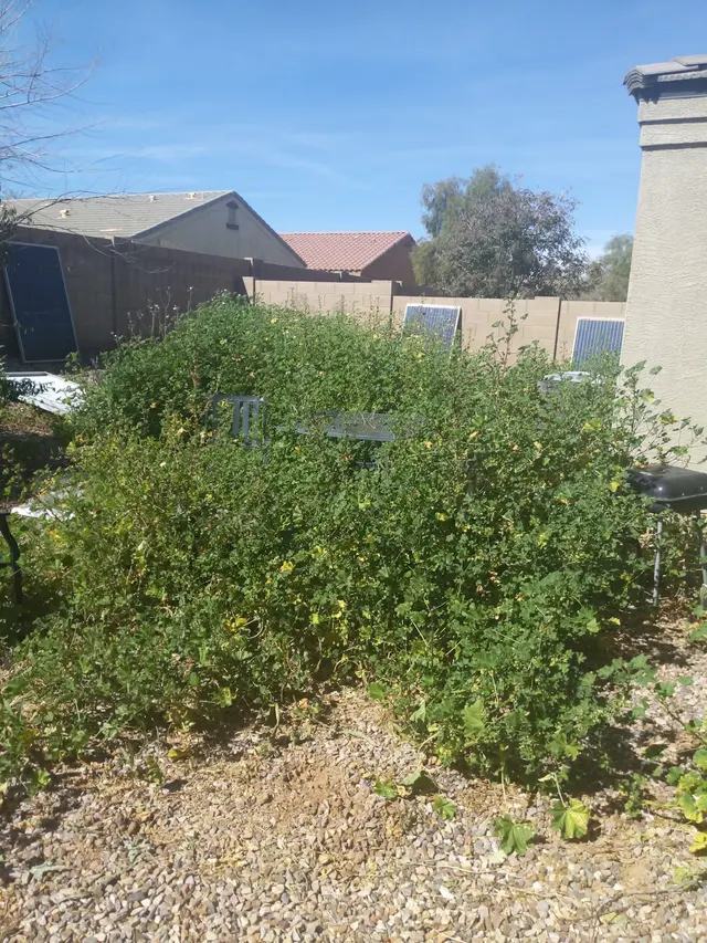 The Yard Experts — customer photo 9