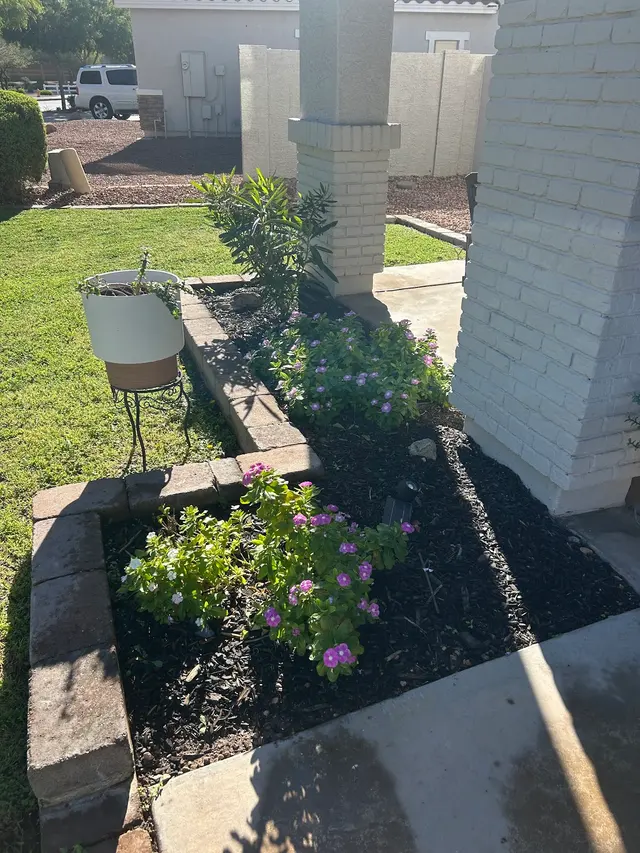 Customer photo from Laurie's review