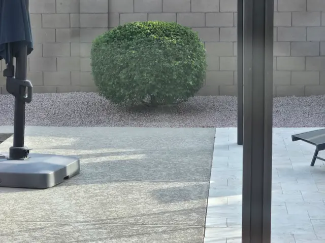 The Yard Experts — customer photo 10