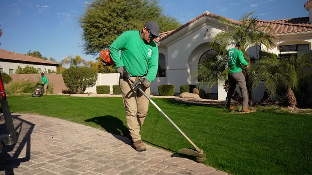 The Yard Experts — photo from the business 4
