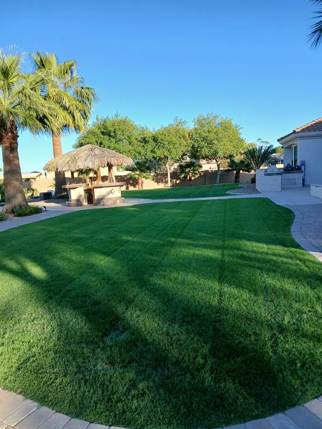 The Yard Experts — photo from the business 3